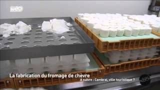 La fabrication du fromage de chèvre [upl. by Trebleht567]