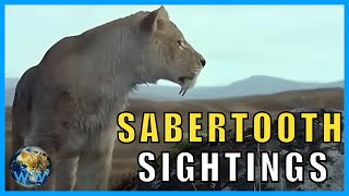 Smilodon  Clash of the Sabers [upl. by Jennica197]