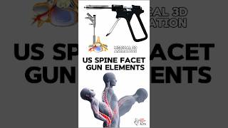 US Spine Facet Gun Elements  animation 3d short [upl. by Dong84]