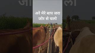 Pankaj bhau gaye khet mecomedy video funny [upl. by Otaner]