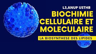 Biochimie cellulaire et moléculaire  Biosynthèse des lipides [upl. by Vanya]