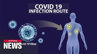 Main pathway of infection route of COVID19 virus has been found [upl. by Anu641]