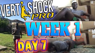 LAST DAY Of Week 1VERT SHOCK Pro Pre Shock PhaseWeek 1 Day 7FOLLOW ALONG [upl. by Tade751]