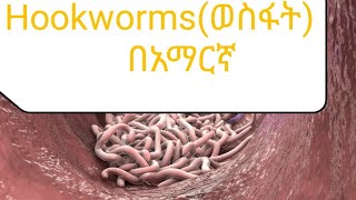 Hook worm በአማርኛ Medical parasitology unit two final parts in Amharic [upl. by Lanna]