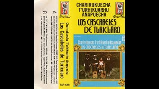 Los Cascabeles De Turicuaro Michoacan  Parakata  FonoMex tar648 [upl. by Llerroj]