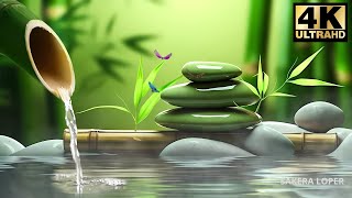 Meditation Music amp Relaxation Relaxing Sleep Music Sounds of Nature and Water Sounds SAKERA LOPER [upl. by Sherborne22]