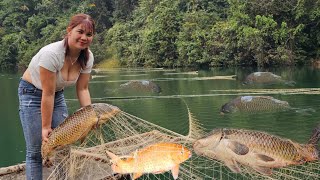 The girl spread a net overnight on the water caught many big fish to sell New life on the lake [upl. by Aiden]