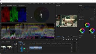 วิธีอ่าน Lumetri Scopes ใน Premiere Pro เพื่อเกรดสี [upl. by Icyak]