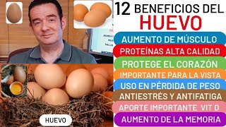 12 BENEFICIOS del🥚HUEVO🥚 DEPORTISTAS🏃MÚSCULO💪ESTRÉS😮 BAJA PESO👏ANTICANCERÍGENO LUTEÍNA ZEAXANTINA❤️ [upl. by Marder]