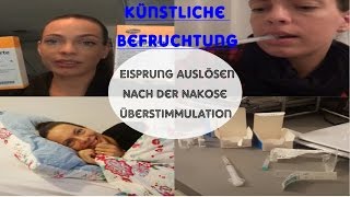 Kinderwunschupdate 5Eisprung auslösenPunktion der EizellenÜberstimmulation [upl. by Aivatnahs]