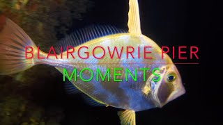 Blairgowrie Pier UNDERWATER [upl. by Hynda]