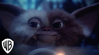 Gremlins  Trailer  Warner Bros Entertainment [upl. by Naicul296]