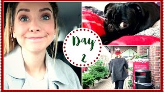 FESTIVE FOOD SHOPPING  VLOGMAS [upl. by Nilyahs548]