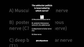 The adductor pollicis is innervated by which nerve physio [upl. by Htor]