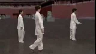 YangStyle 24 Form Tai Chi Chuan [upl. by Davidde611]