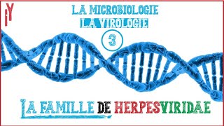 LA MICROBIOLOGIEVIROLOGIE EPISODE 3HERPESVIRIDAE généralité [upl. by Ylrac310]