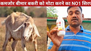 25 दिन में कमजोर बीमार बकरी को मोटा बनाएं  Bakri ko mota karne ka syrup kamjor sick goat [upl. by Damali]