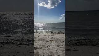 Bowditch Point Park Ft Myers FL nature ftmyers [upl. by Arakahs]