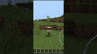 poi poi poi Minecraft popoi minecraft short youtubeshort [upl. by Fellner]