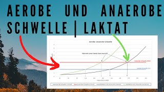 Aerobe und Anaerobe Schwelle  Laktat steady state  IAS IANS einfach erklärt [upl. by Aiekan]