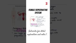 Female Reproductive System  class 12th  NEET  Biocules [upl. by Ydassac630]