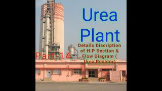 Hp section Flow Diagram Urea Reactor [upl. by Ynots]