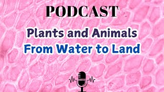 Plants and Animals From Water to Land [upl. by Ocnarf440]