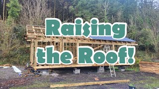 Raising the roof  DIY SHED BUILD PART 3 [upl. by Lleynad865]