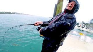 Fishing in Brutal Rain on the Docks Catch N Cook [upl. by Anyalram]