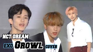 Korean Music Wave NCT DREAM  Growl 엔시티 드림  으르렁EXO Cover DMC Festival 2018 [upl. by Henni396]