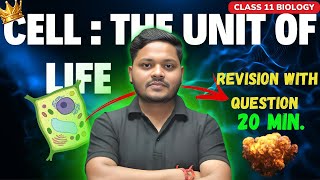 CELL  THE UNIT OF LIFE  CLASS 11 BIOLOGY DPP QUESTIONS  CBSE amp NEET  UNFILTERED CLASSES [upl. by Hilton]