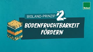 BiolandPrinzip 2 Bodenfruchtbarkeit fördern für organischbiologischen Landbau [upl. by Lezned]