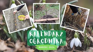 15 prac w ogrodzie w marcu czyli kalendarz ogrodnika 2024 [upl. by Vonnie]