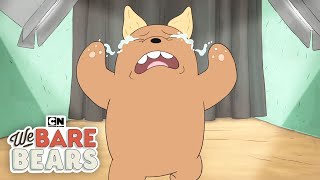 Pet Adoption Commercial  We Bare Bears  Cartoon Network [upl. by Issirk794]