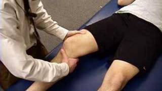 Knee Exam Lachman Test [upl. by Bertine350]