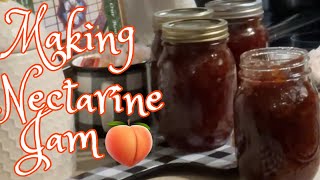 Making Delicious Nectarine Jam 🍑 [upl. by Michi]