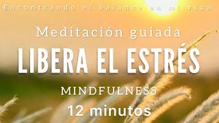 Meditación guiada para LIBERAR EL ESTRÉS 💛🙏🏼  12 minutos MINDFULNESS [upl. by Akirehs]