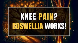 How Boswellia Serrata Supports Joint Health in Knee Osteoarthritis [upl. by Bayless604]