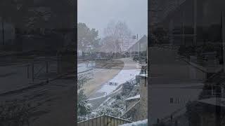 Le 9 Janvier 2024 Dinard sous la neige ❄️ Short video 4k 2024 [upl. by Dusty216]