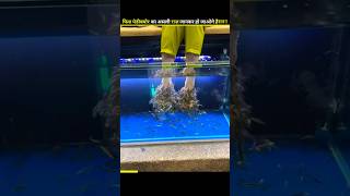 Shocking 😱 Truth behind Fish Pedicure shorts facts fish fishpedicure truth skincare short [upl. by Lecrad711]