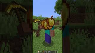 Ping Challenge vs Laggy Village shorts minecraft meme [upl. by Adnilim]