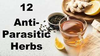 12 Powerful AntiParasitic Herbs for Gut Health [upl. by Tahpos187]