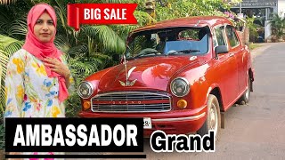 Modified AMBASSADOR For SaleHindustan Ambassador For Low budgetUsed car sale [upl. by Tobiah842]