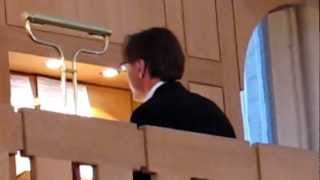 ODENSE DOMKIRKE ORGAN CONCERT [upl. by Paulina849]