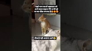 Khabardar Jo kadam aage badhaya 😡😡youtubetrendingcomedyshortvideos😜😁🤣🤣🤣🤣 [upl. by Stephen]