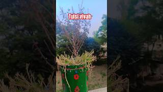 De tulsi maiye bardan song 🙏 tulsi vivaha song 🎵 ytshorts  trending shorts  🙏👌 [upl. by Bobinette482]