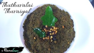 Thoodhuvalai thuvaiyal  Thuthuvalai chutney recipe [upl. by Ehsiom]