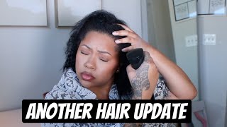 Natural Hair Update [upl. by Ardnasac229]