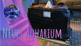 Armatus 500xd MWA 1  Neues Aquarium [upl. by Tomasina522]