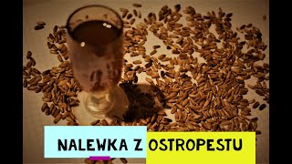 Nalewka z ostropestu Wsparcie wątroby [upl. by Ennasus477]